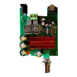 TPA3116D2 100W Mono Amplifier Board