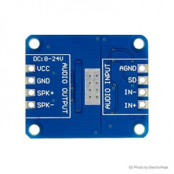 DY-AP3001 30W Digital Amplifier Module