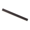 2.54 mm Female Pin Header 40p