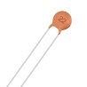 22 pF Ceramic Capacitor