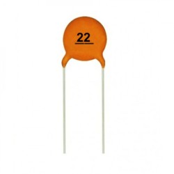 22 pF Ceramic Capacitor