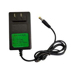 12.6V 1A Power Adapter...