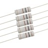 2 W 1 Ω Resistor