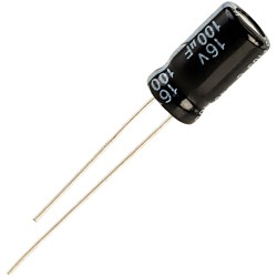 100 uF 16 V Electrolytic Capacitor